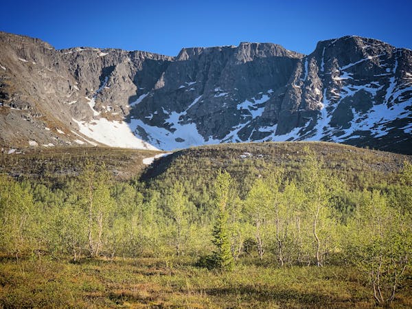 Understanding the 4 Levels of Mountain Hiking