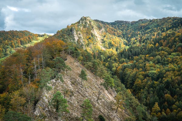 Understanding the 4 Levels of Mountain Hiking