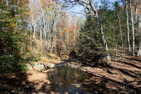 Four Seasons Ohio Hiking 