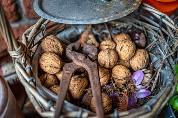 Good To-Go: Safe Hiking Food for Allergies
