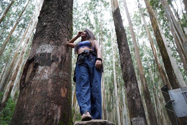 Exploring the Rebecca Lord Hiking