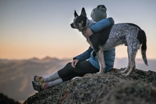 “Do Shelties Make Good Hiking Dogs A Complete Guide”