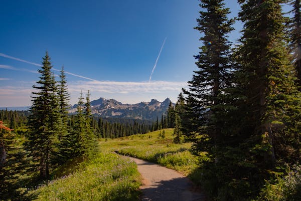 Indian Fort Mountain Hiking Trail 