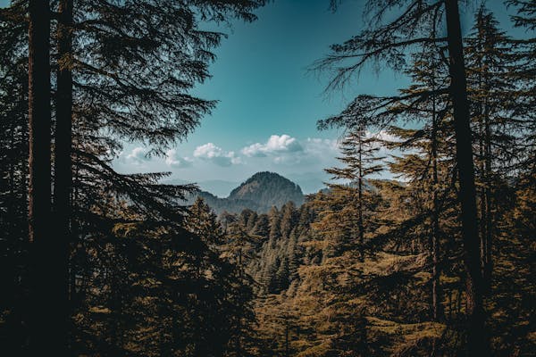 hiking elopement